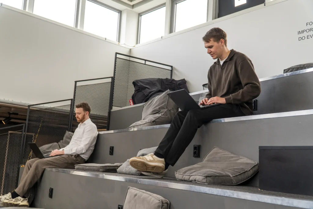 Efaktura för Netsuite (eInvoicing NetSuite)